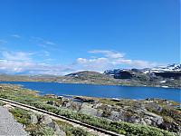 20230727_180959.jpg
