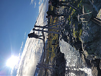20230727_183650.jpg