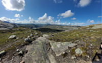 20230729_103701.jpg
