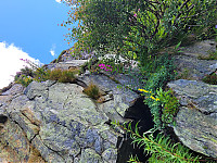 20230729_111637.jpg
