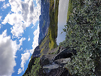 20230729_111655.jpg