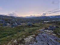 20230730_221553.jpg