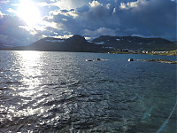 20230801_195153.jpg