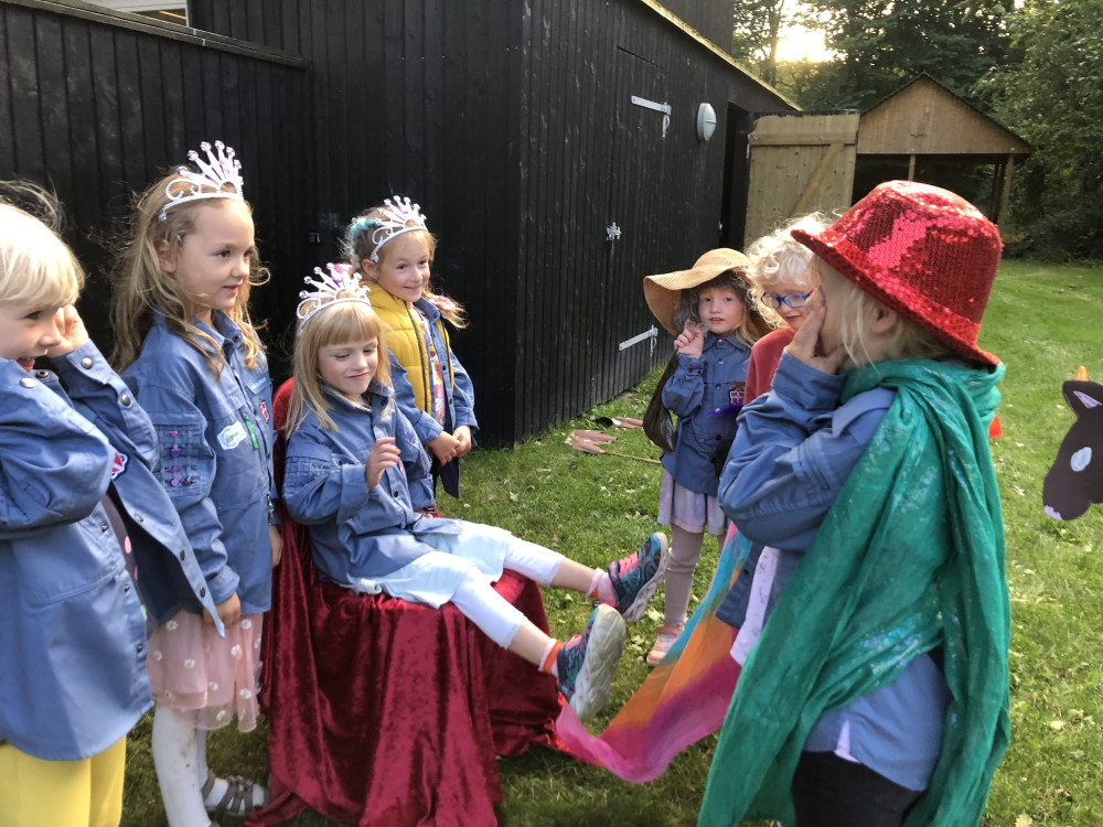Klik for fuld størrelse