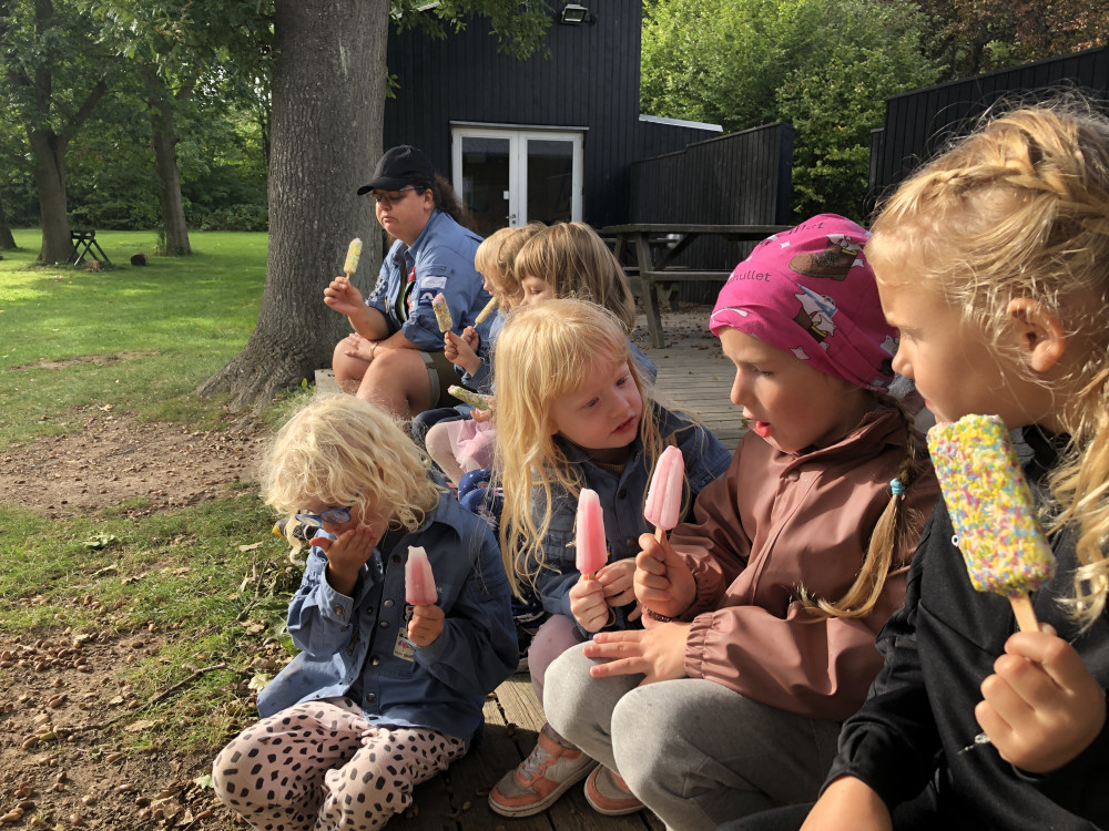 Klik for fuld størrelse