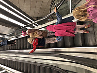 IMG_9443.JPG