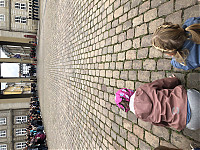 IMG_9451.JPG