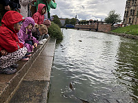 IMG_9474.JPG