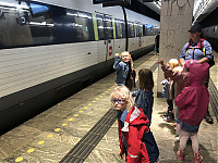 IMG_9485.JPG