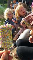 IMG_9503.JPG