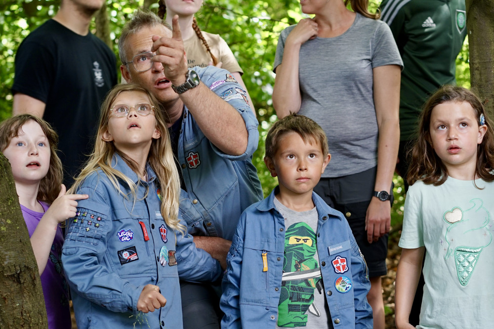 Klik for fuld størrelse