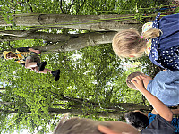 IMG_2894.JPG