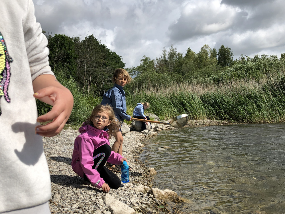 Klik for fuld størrelse