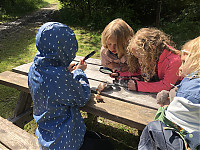 IMG_0534.JPG