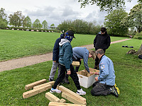 IMG_4311.JPG