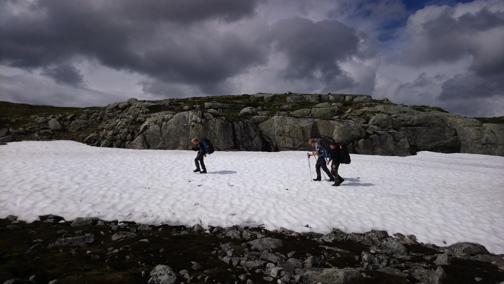 Klik for fuld størrelse