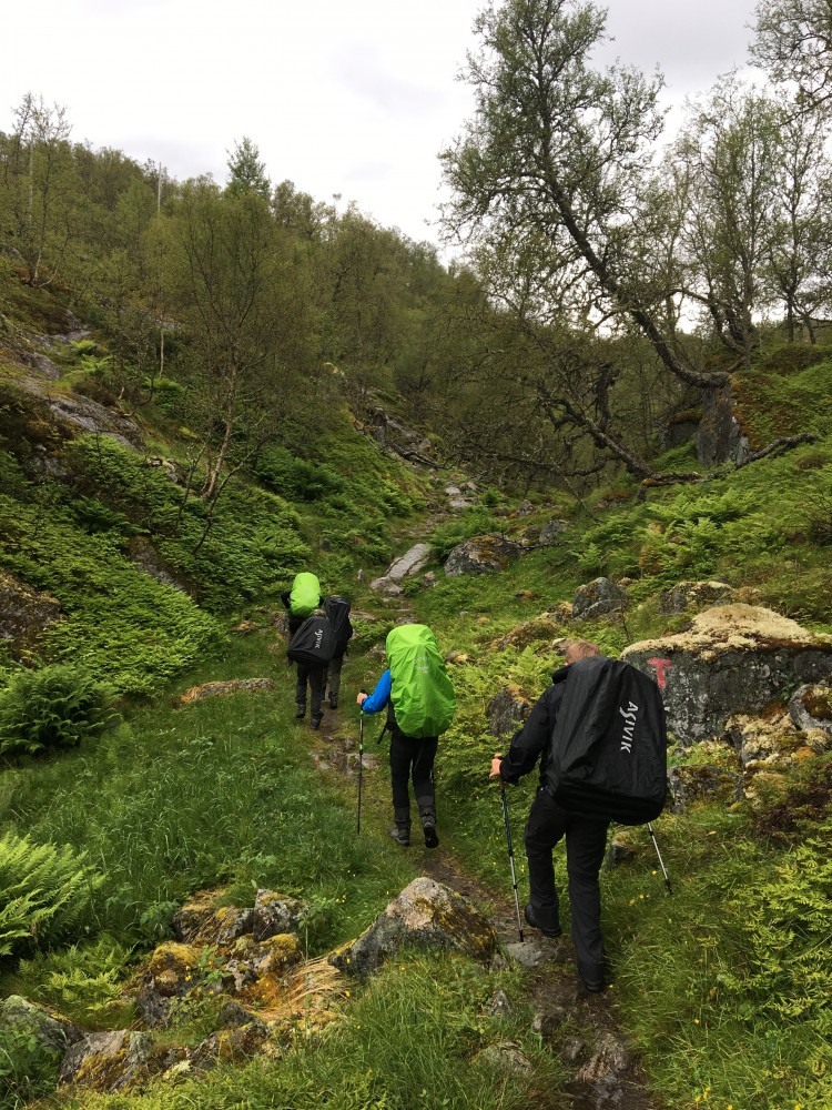 Klik for fuld størrelse