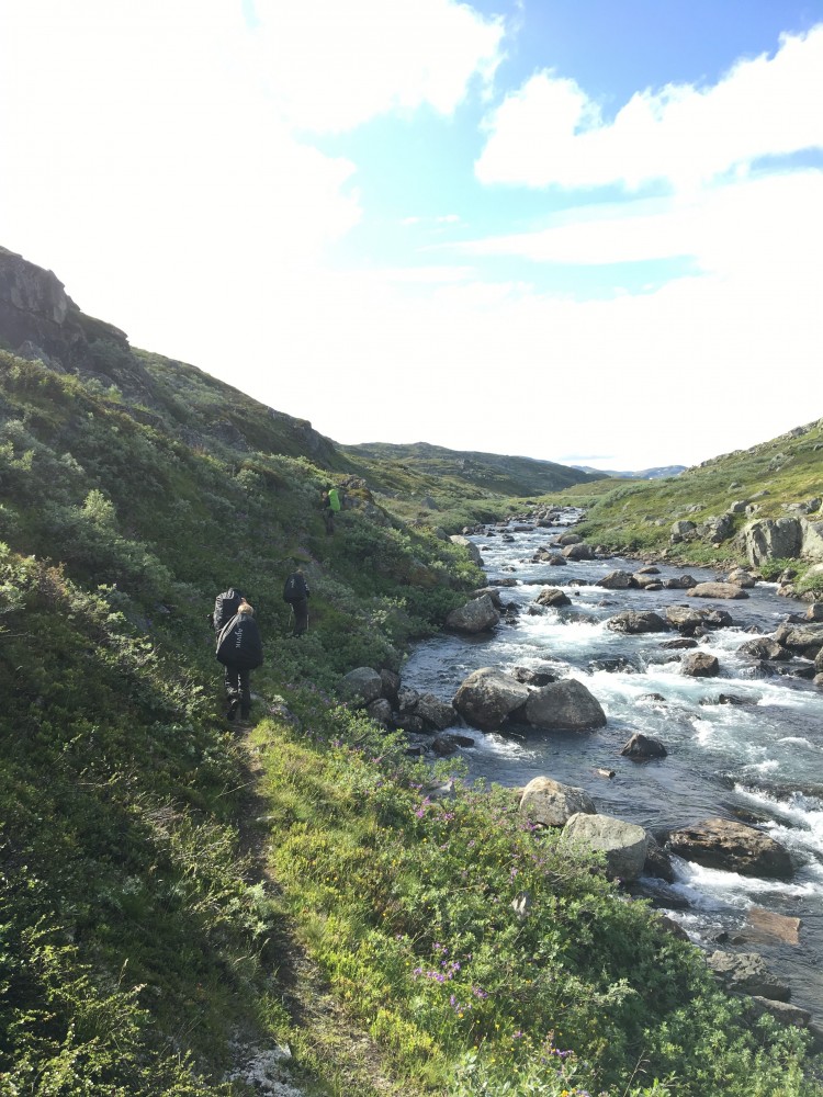 Klik for fuld størrelse