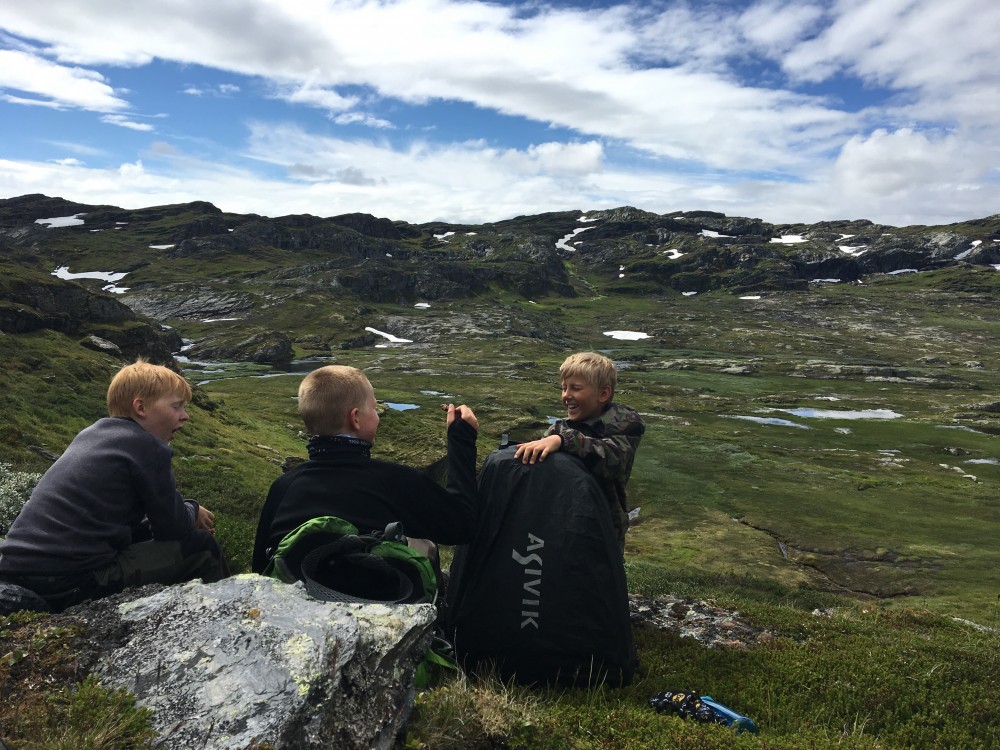 Klik for fuld størrelse