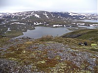 DSC02603_28129.JPG
