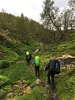 IMG_4247.jpg