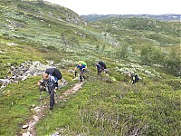 IMG_4285.jpg