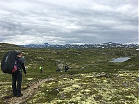 IMG_4290.jpg