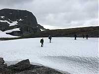 IMG_4394.jpg