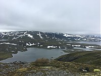 IMG_4504.jpg