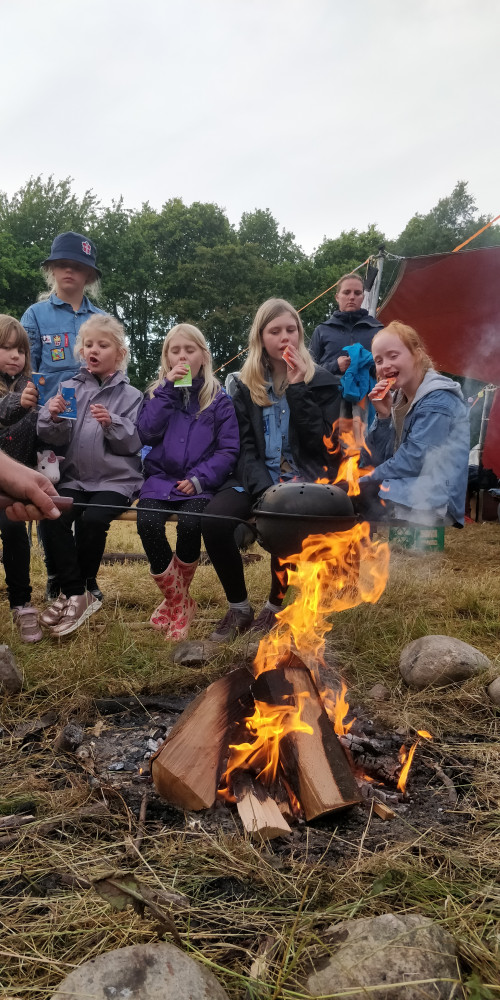 Klik for fuld størrelse