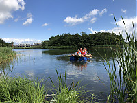 IMG_3777.JPG