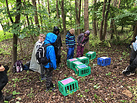 IMG_4068.JPG