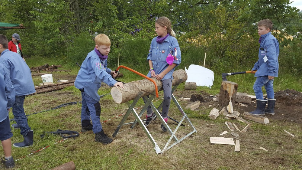 Klik for fuld størrelse
