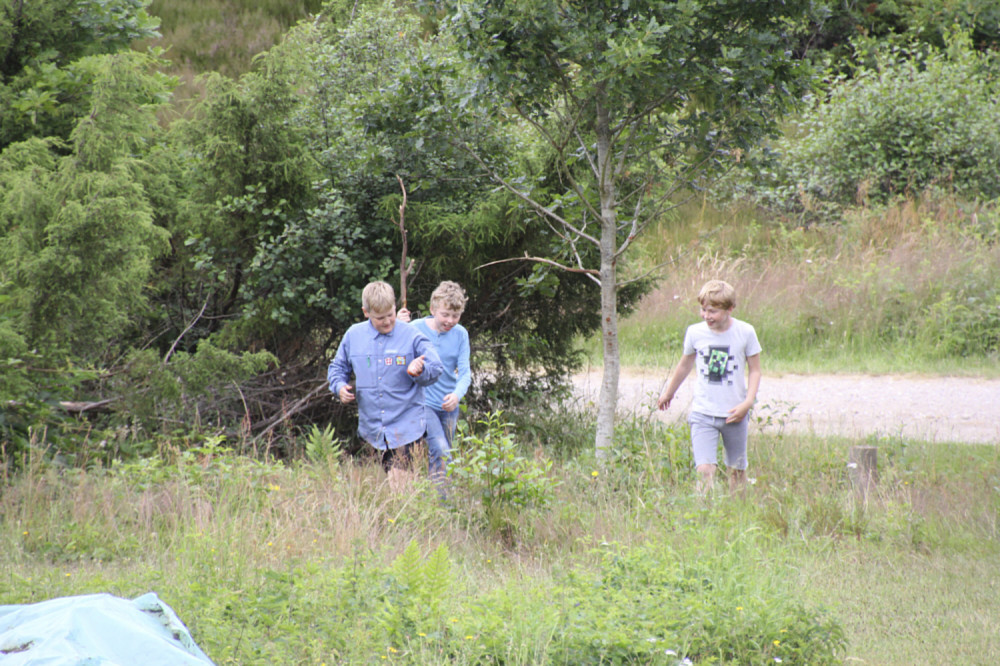 Klik for fuld størrelse