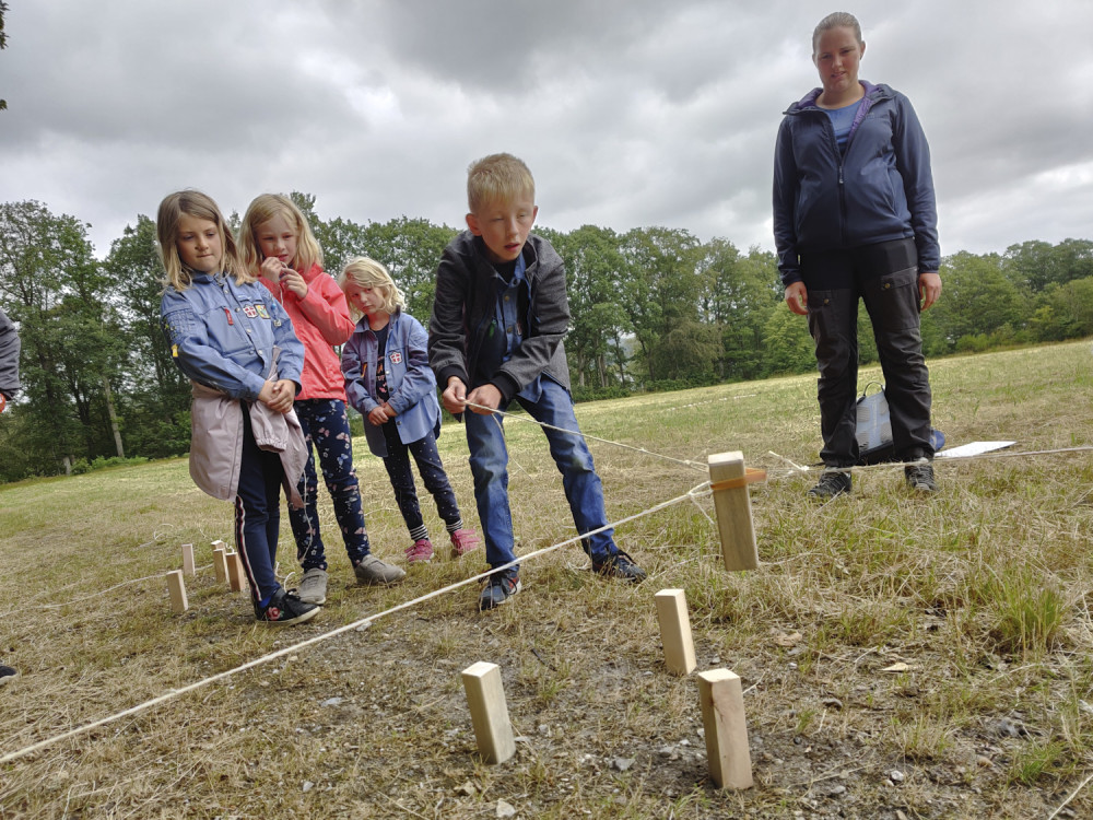 Klik for fuld størrelse