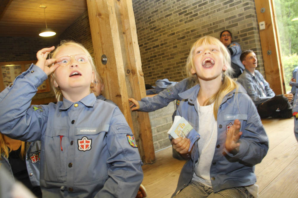 Klik for fuld størrelse