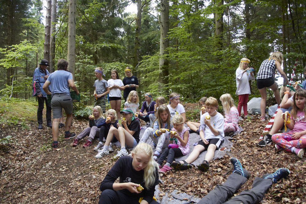 Klik for fuld størrelse