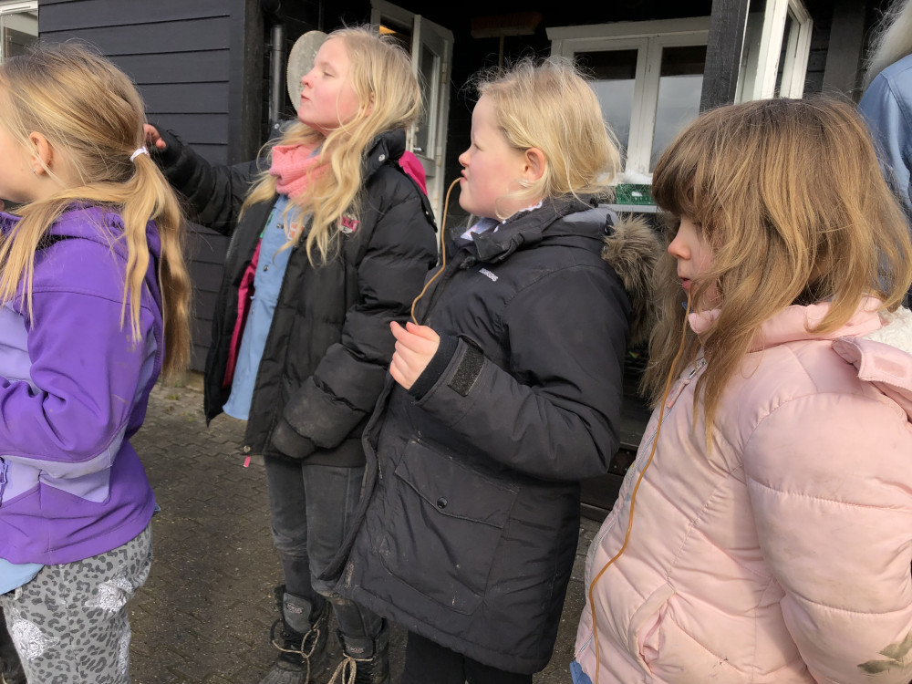 Klik for fuld størrelse