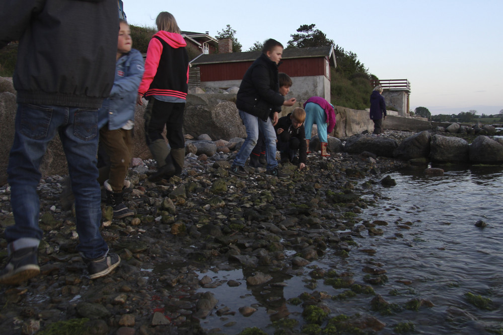 Klik for fuld størrelse