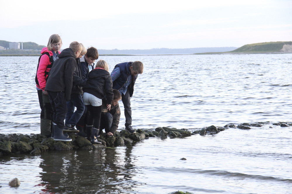 Klik for fuld størrelse