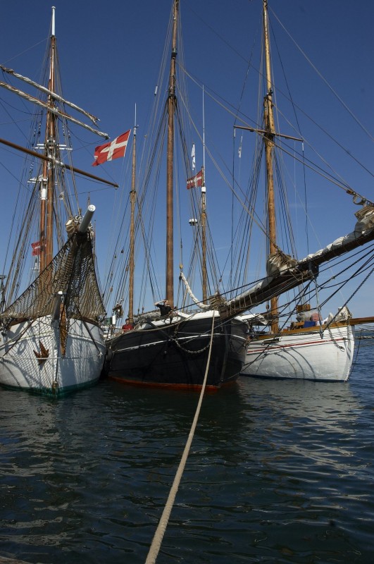 Klik for fuld størrelse