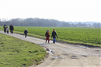 -IMG_5675.jpg