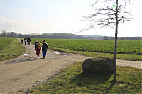 -IMG_5676.jpg