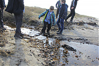 -IMG_5680.jpg