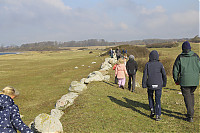 -IMG_5728.jpg