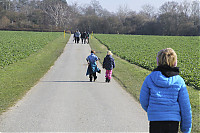 -IMG_5758.jpg