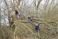 -IMG_5874.jpg
