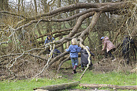 -IMG_5929.jpg