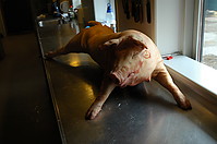 02_fredag052.JPG