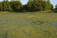 105.jpg